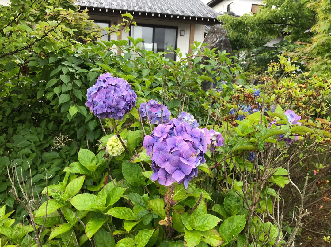 Eko-ji Temple-岩沼市必去景点