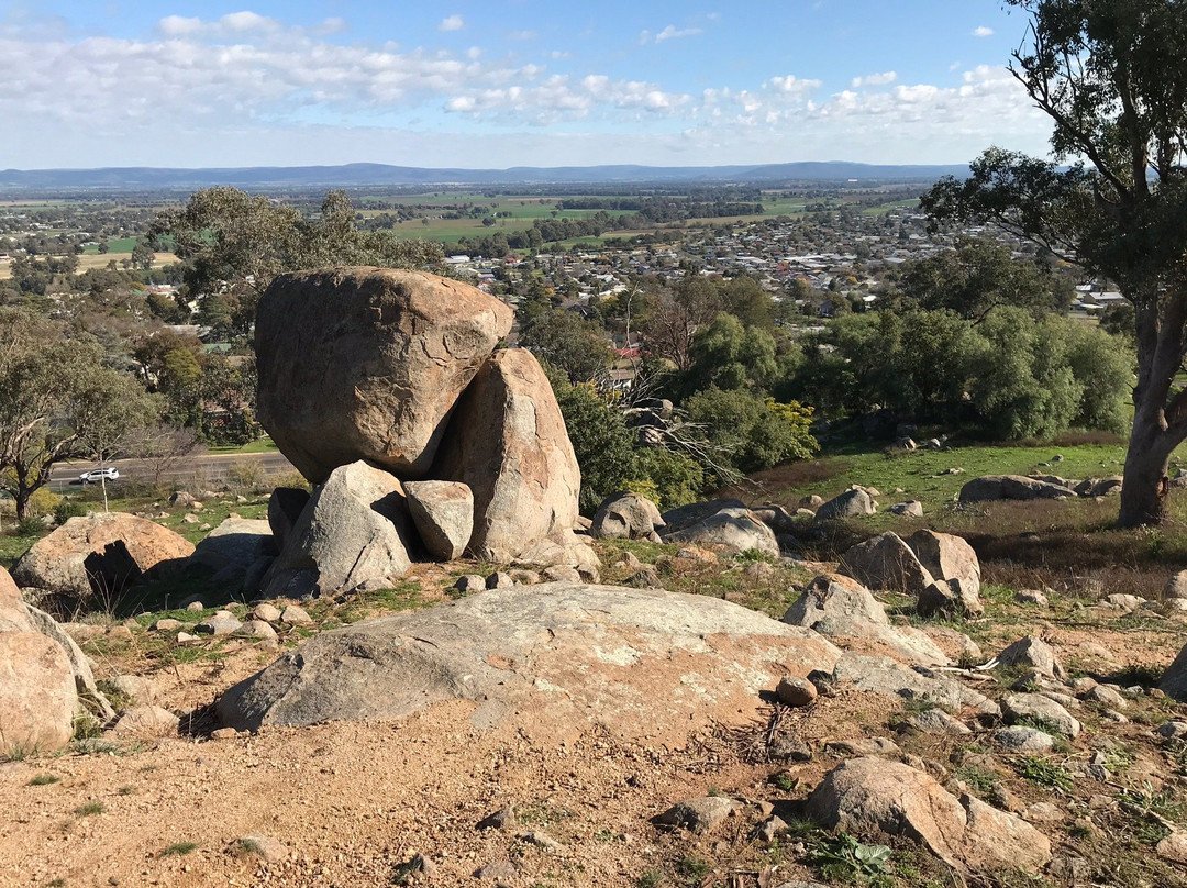 Bellevue Hill Reserve and Lookout景点图片