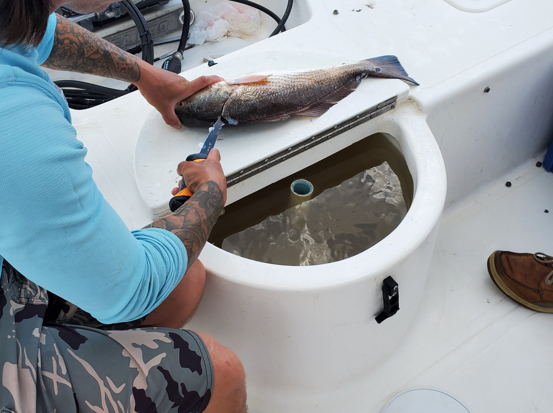 Holy City Fishing Charters-查尔斯顿必去景点