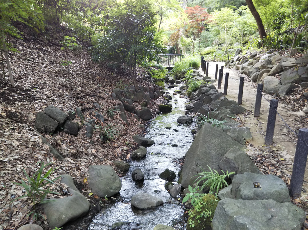 Momiji Valley景点图片