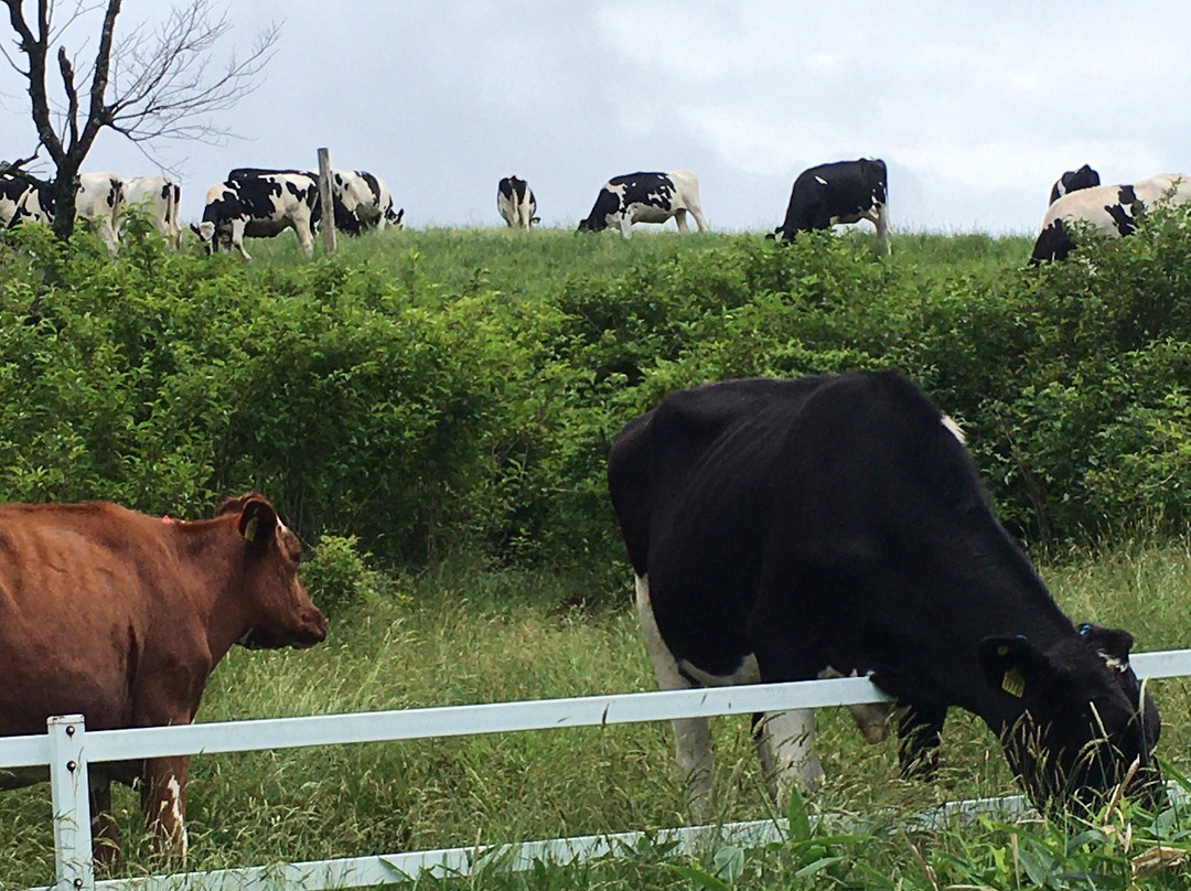 Ozasa Ranch-日光市必去景点
