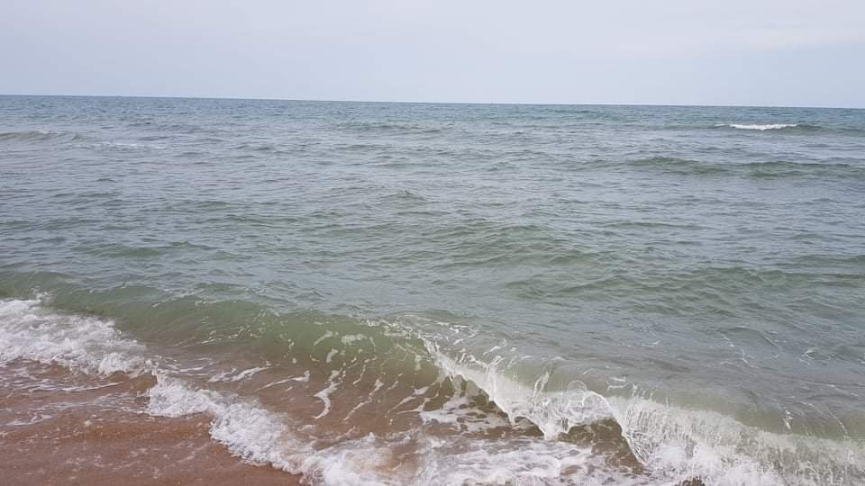 Summer Stations Homestay主图