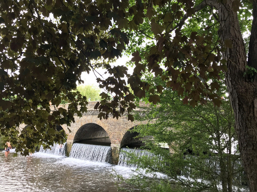 Foots Cray Meadows景点图片