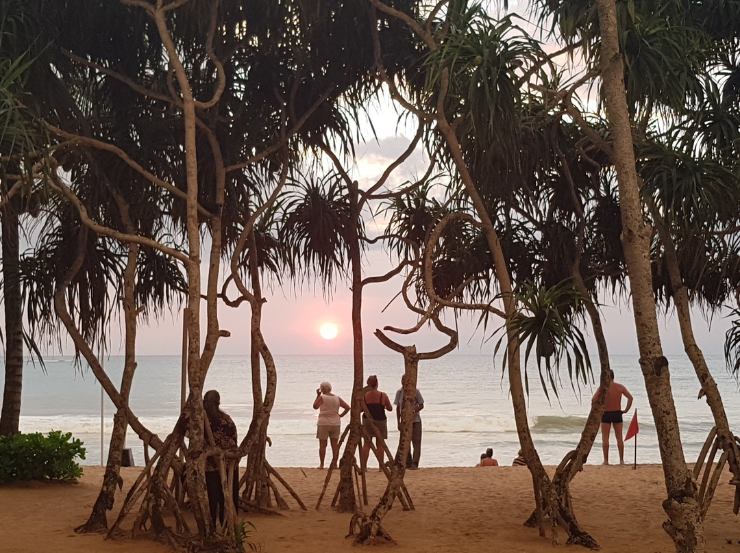 Seasons Travels-斯里贾亚瓦德纳普拉必去景点