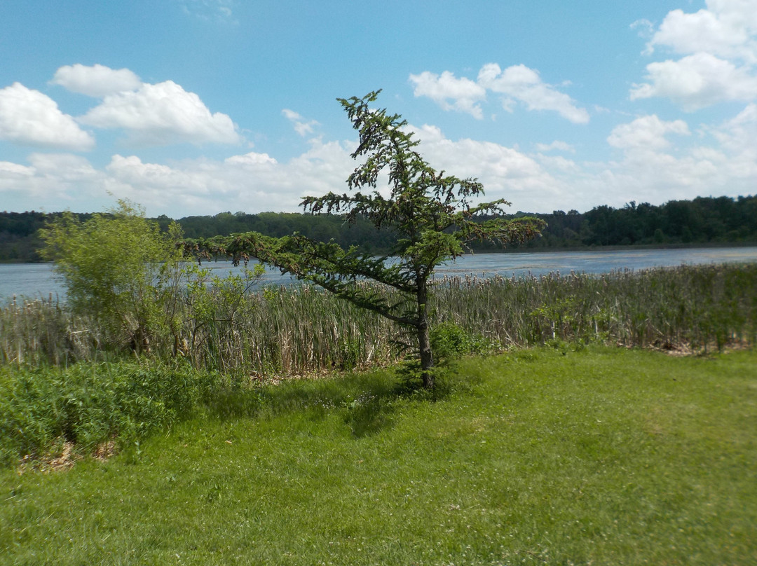 Mendon Ponds Park-Pittsford必去景点