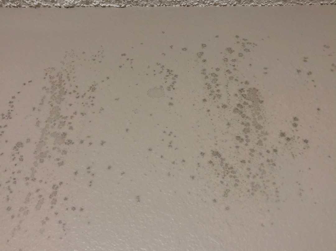 Super 8 by Wyndham Keokuk主图