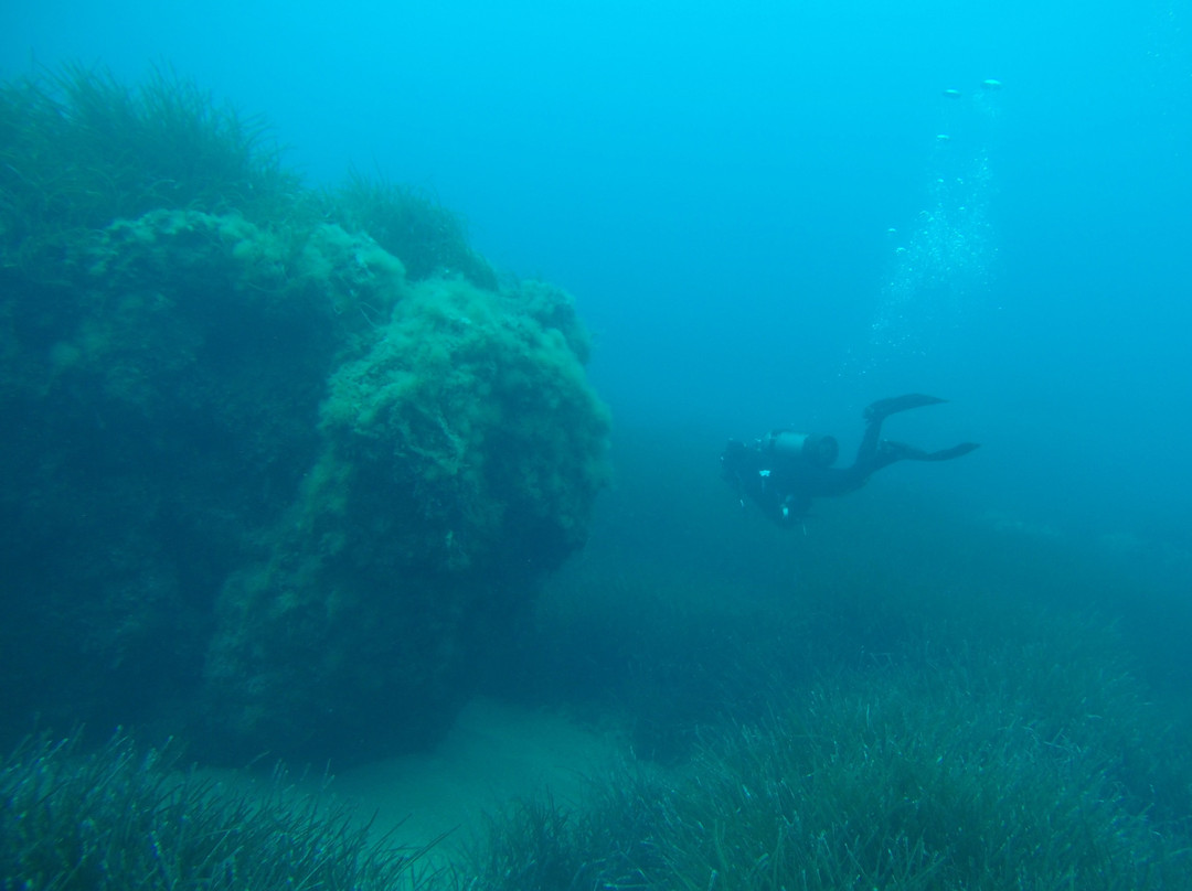Ileia Dive Center-Pyrgos必去景点