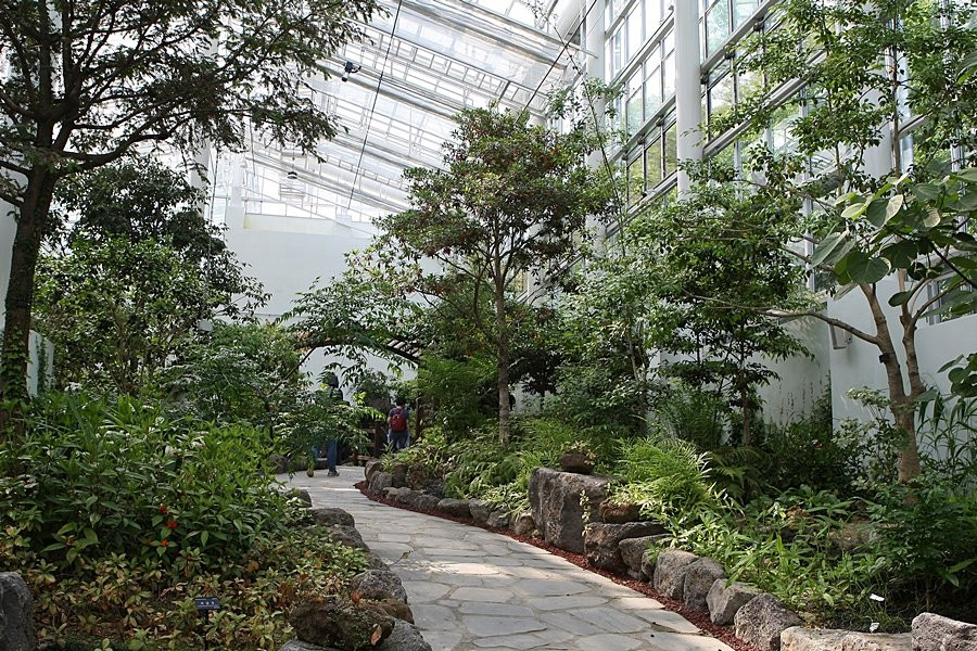 Hwanghaksan Arboretum