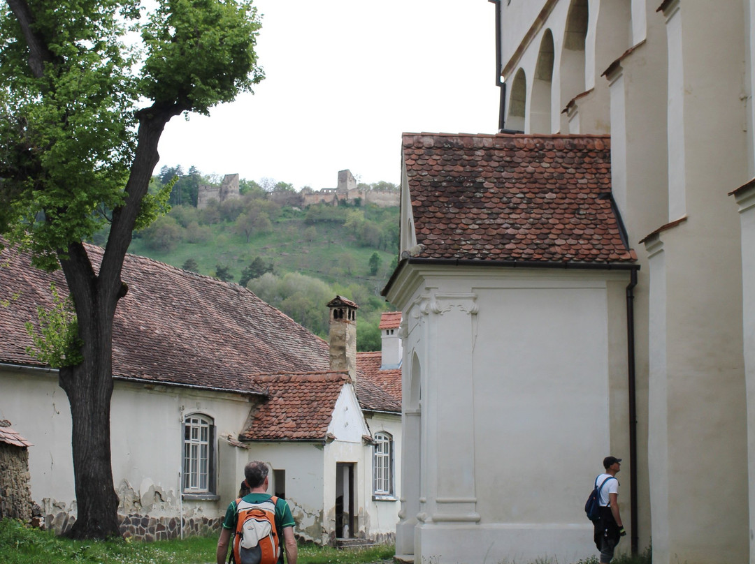 Saxon Church景点图片