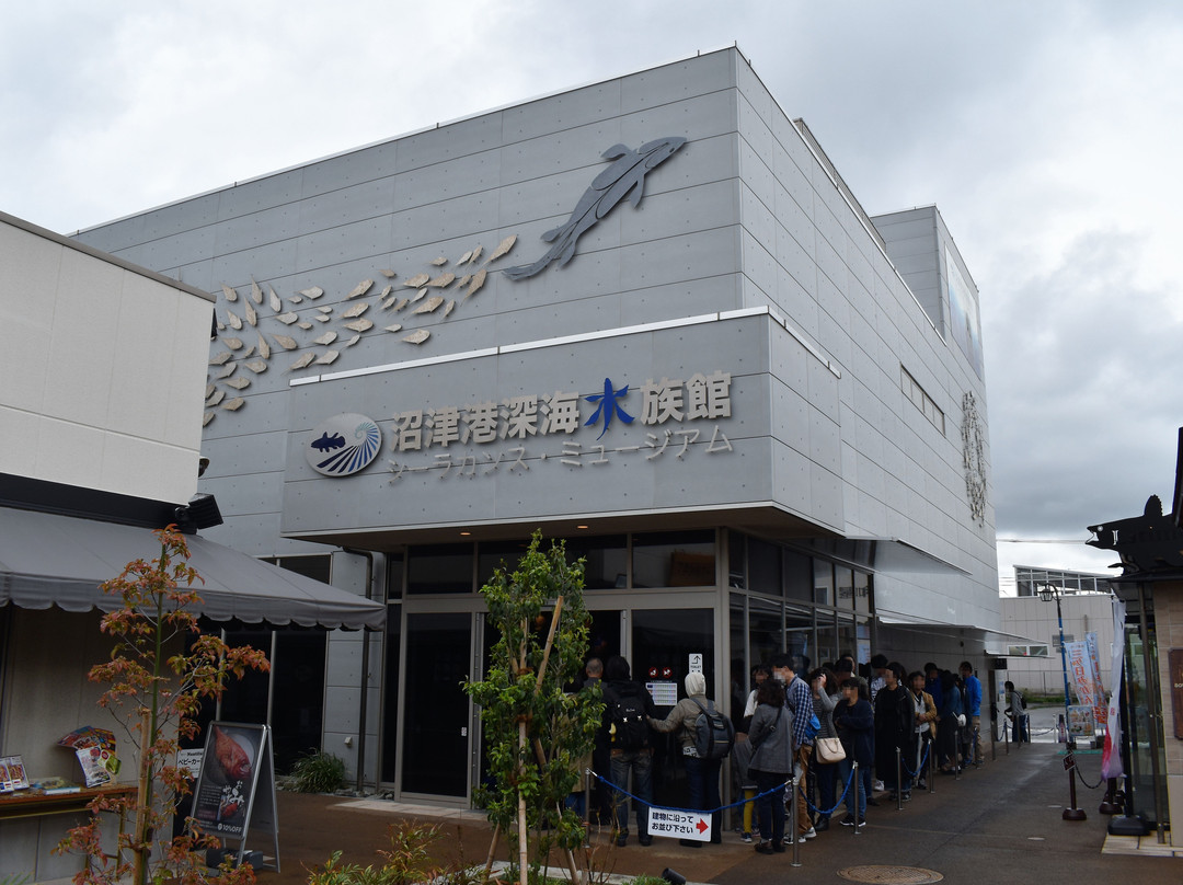 Numazu Deep Sea Aquarium景点图片