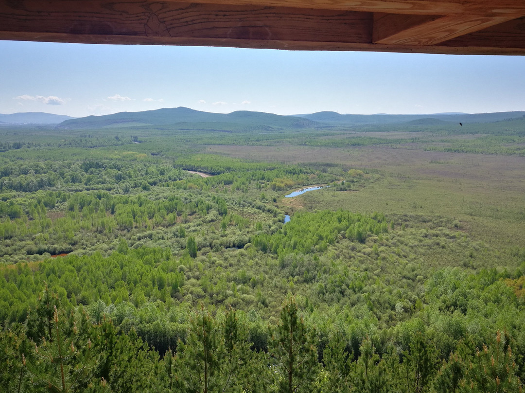 Private Tour Guide-漠河县必去景点