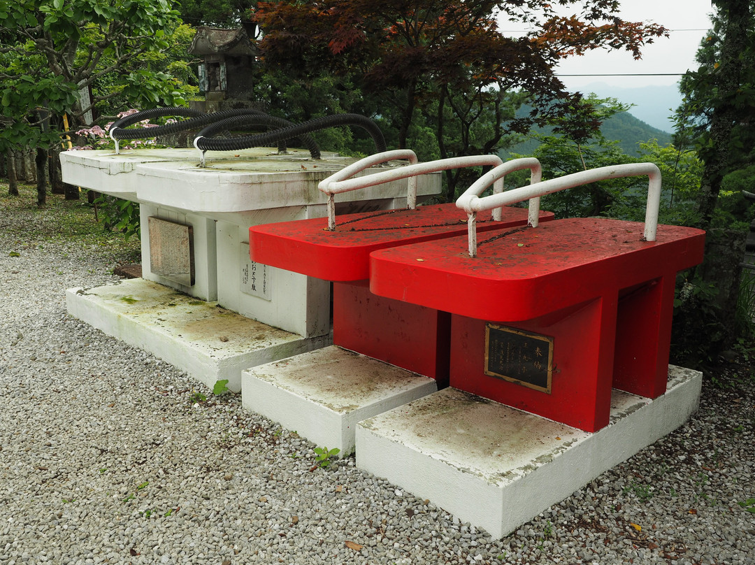 Tenryuji Temple-饭能市必去景点