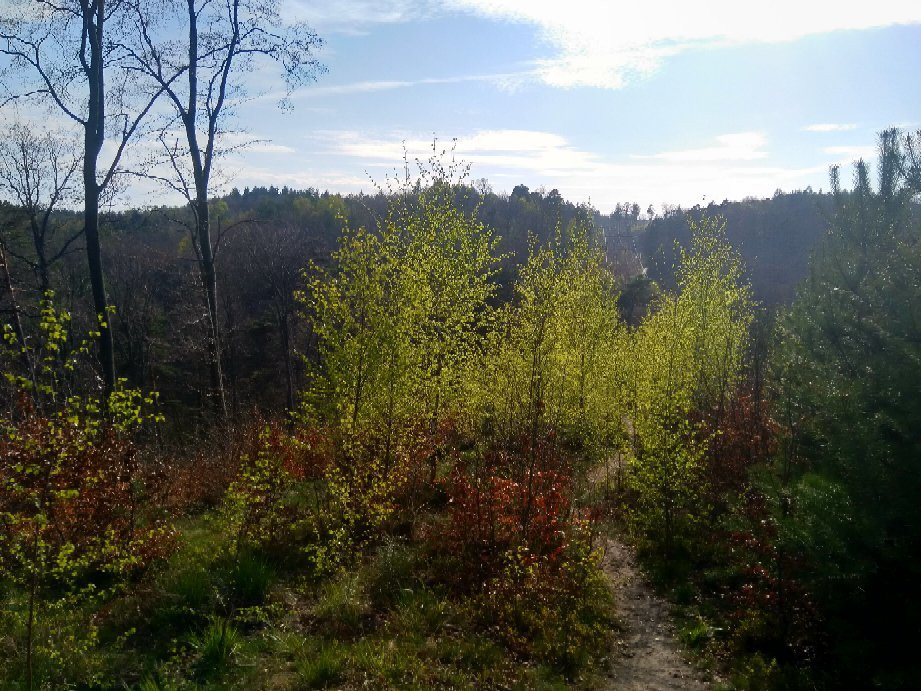 Trojmiejski Landscape Park景点图片