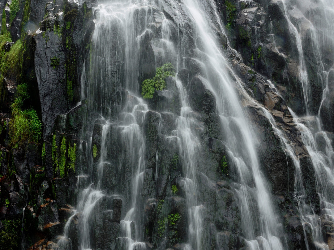 Efrata Waterfall景点图片
