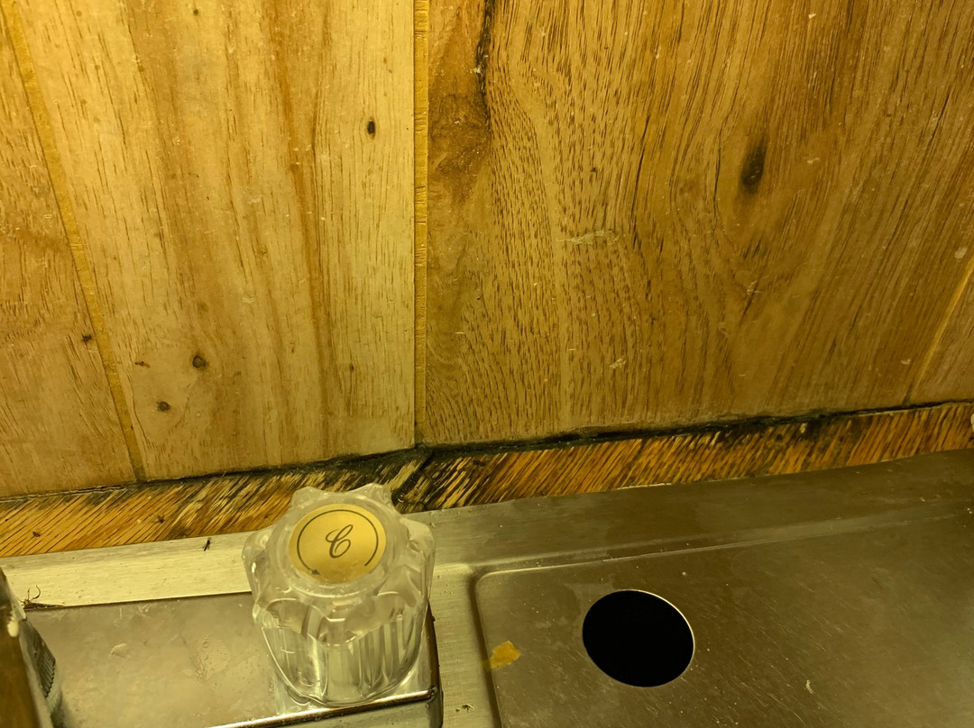 Fin & Feather Resort on Toledo Bend Lake主图