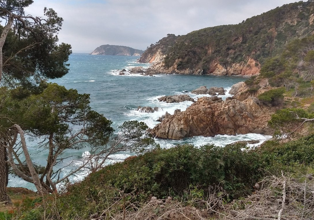 Chemin de Ronde景点图片