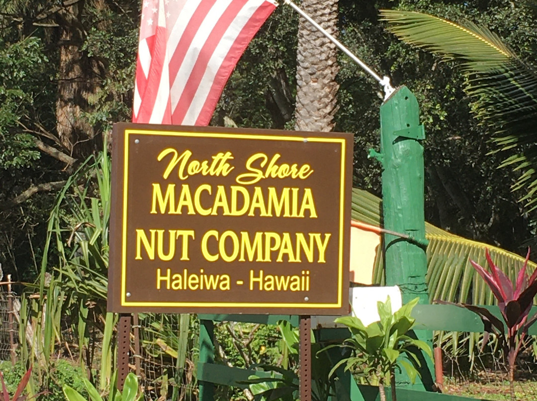 North Shore Macadamia Nut Company-哈雷瓦必去景点