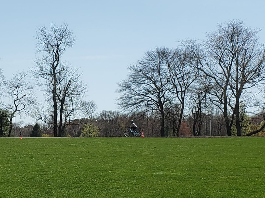 Washington Lake Park景点图片