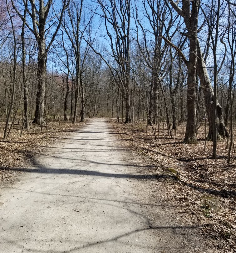 Edison Woods Reserve景点图片