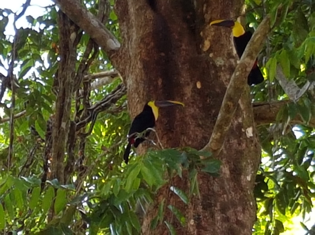 Villas En El Bosque主图