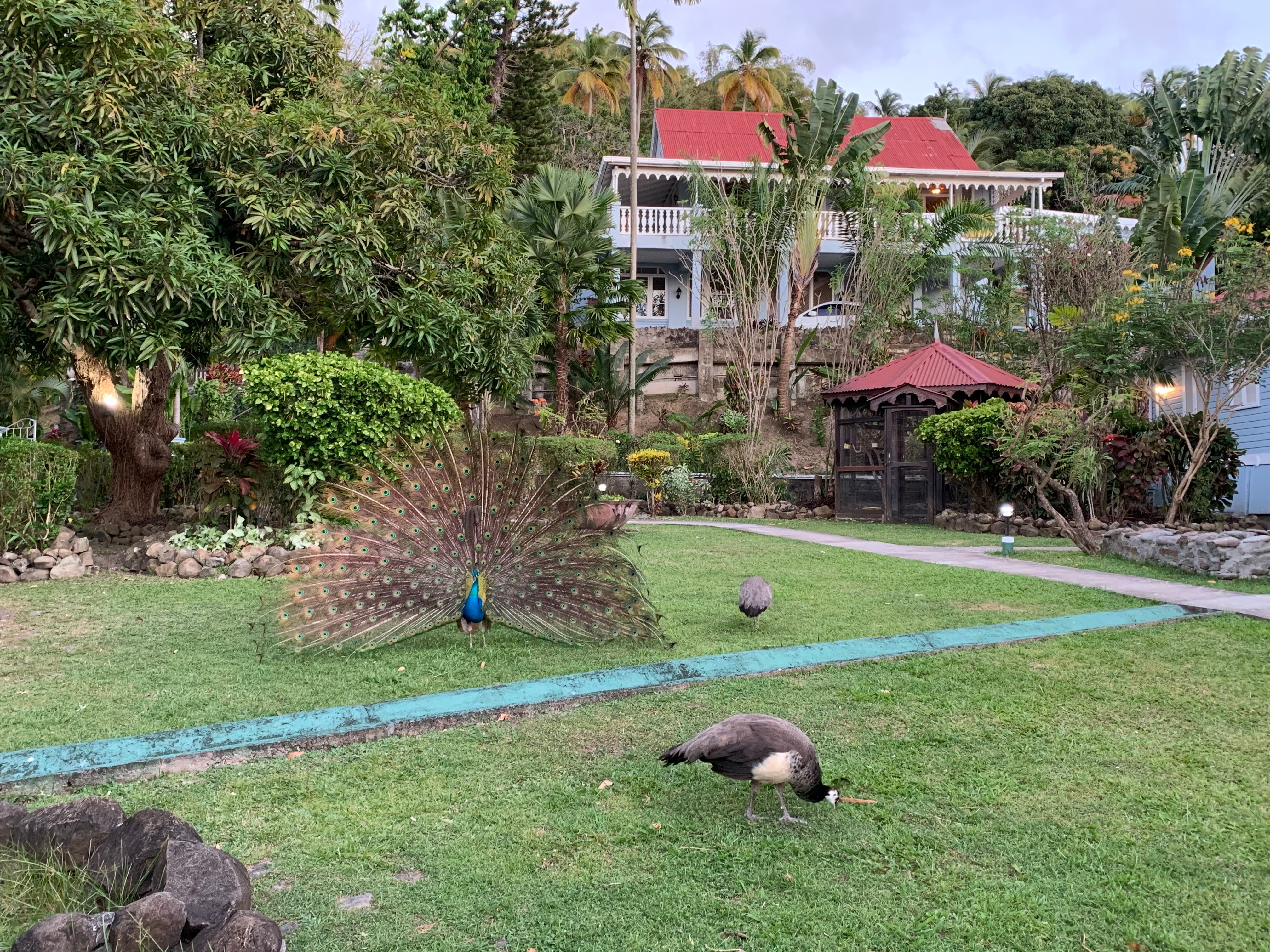 Mount Edgecombe Boutique Hotel-浴室