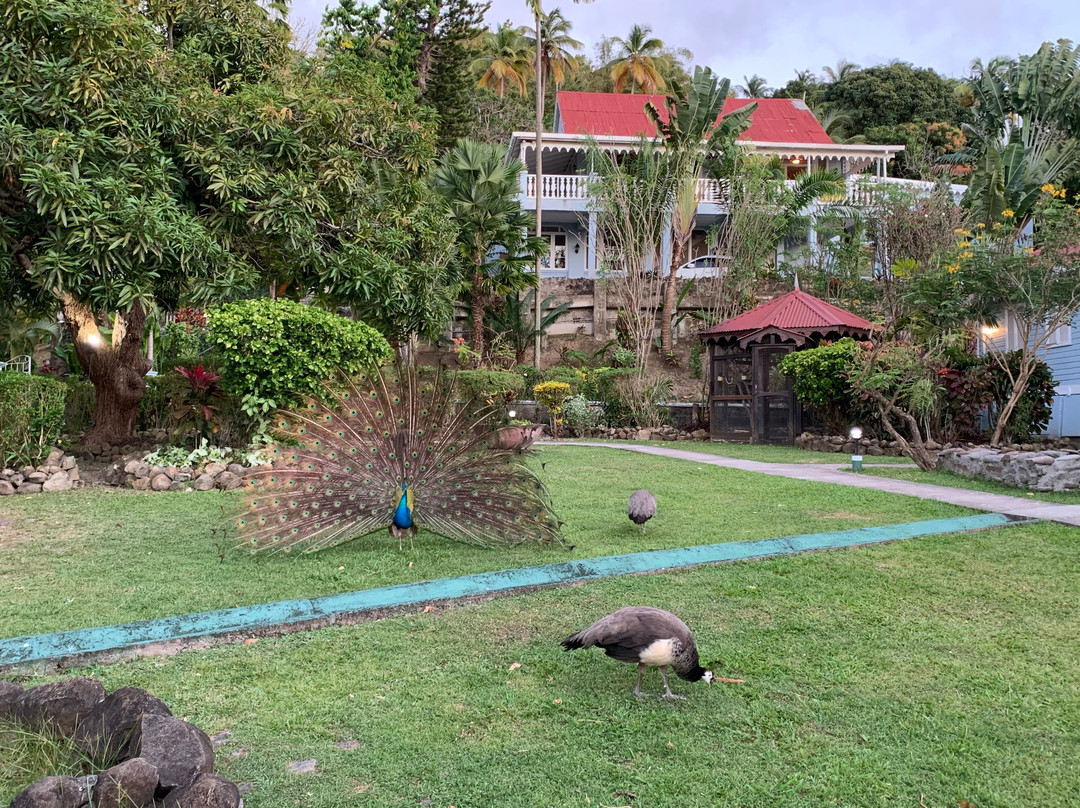 Mount Edgecombe Boutique Hotel主图