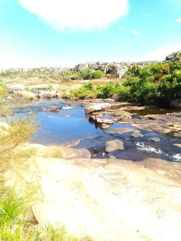 Harvey Shuttle-尼斯普鲁特必去景点