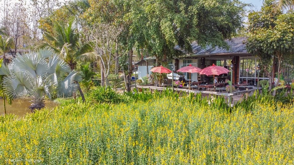 Royal Train Garden Resort-餐饮