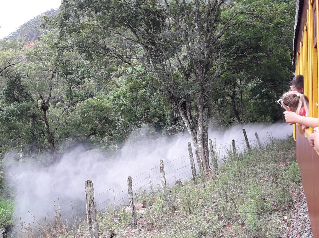 Estrada de Ferro Santa Catarina景点图片