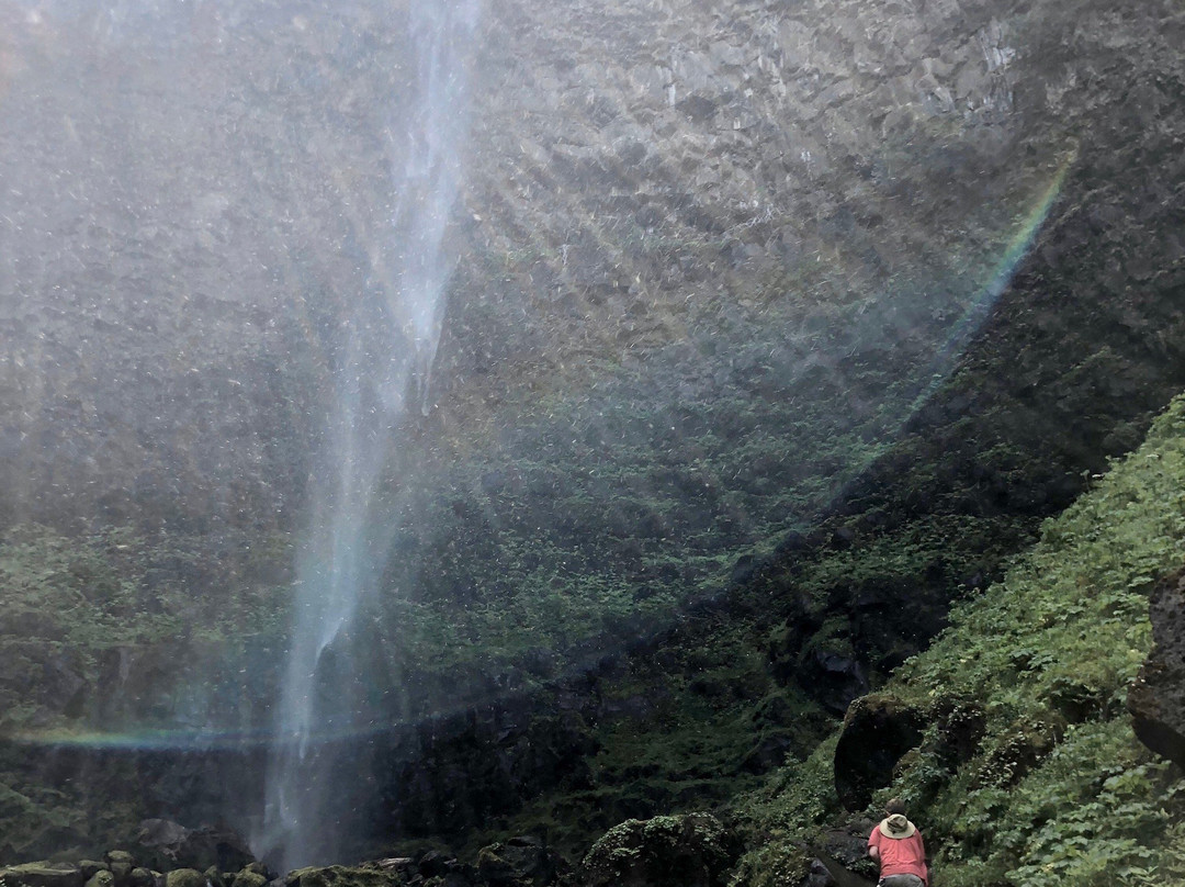 Watson Falls景点图片
