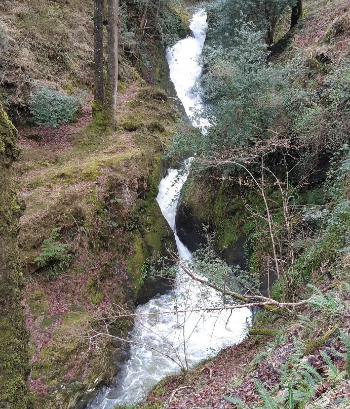 Poulanass Waterfall-Derrybawn必去景点