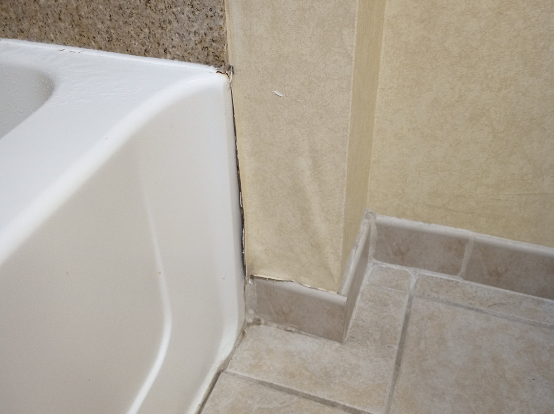 Comfort Suites Fredericksburg North主图