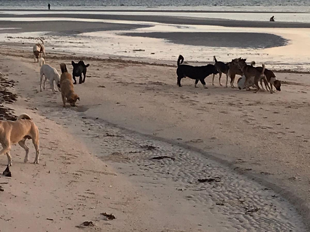 Beach Placid Resort主图