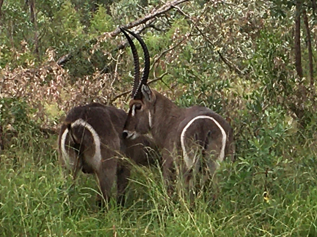 Outlook Safaris-克鲁格国家公园必去景点