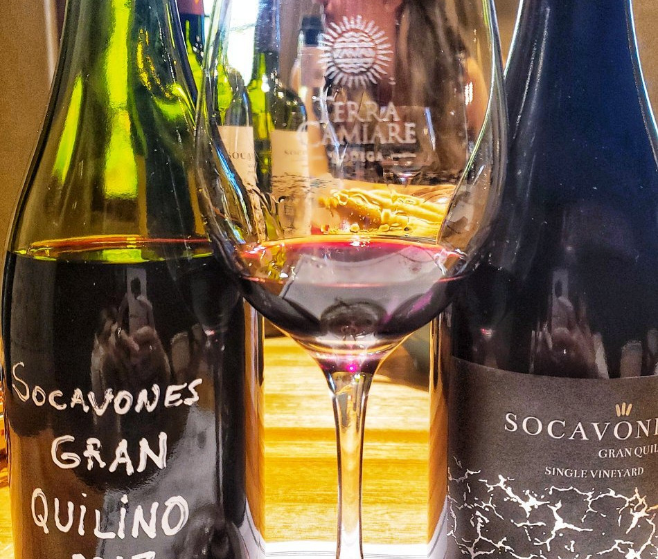 Bodega Terra Camiare景点图片