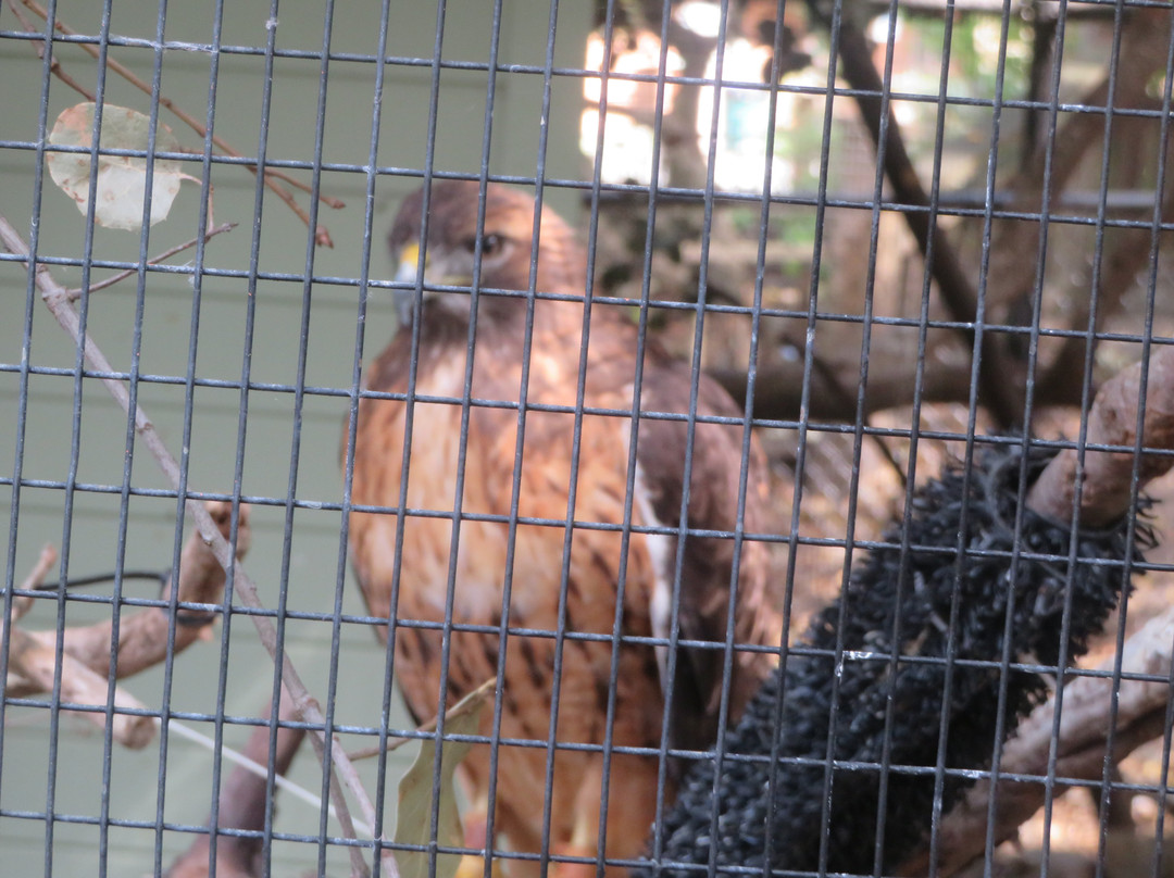 Sulphur Creek Nature Center-海沃德必去景点