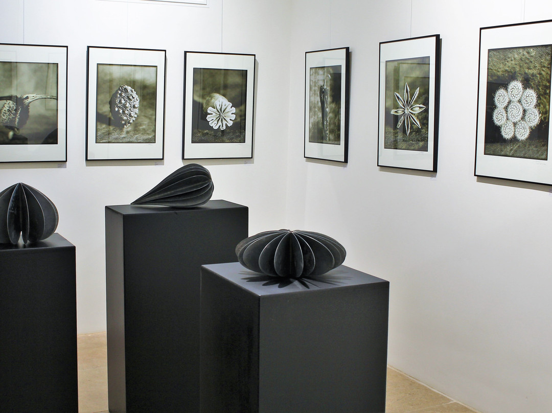 Centre d'Art la Falaise景点图片