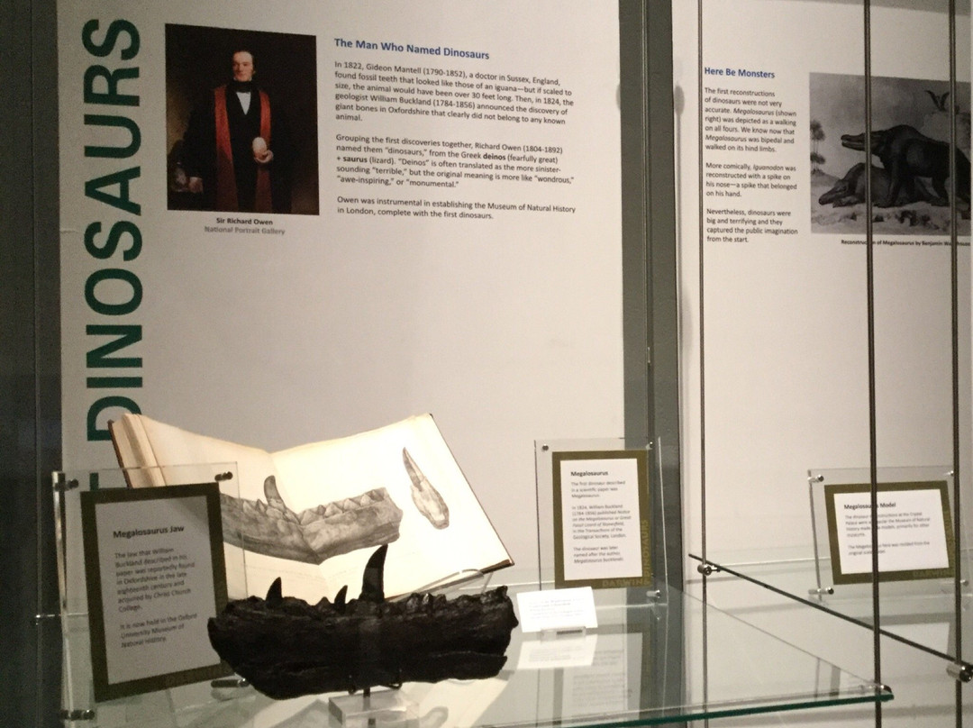 Museum of Idaho-爱达荷福尔斯必去景点