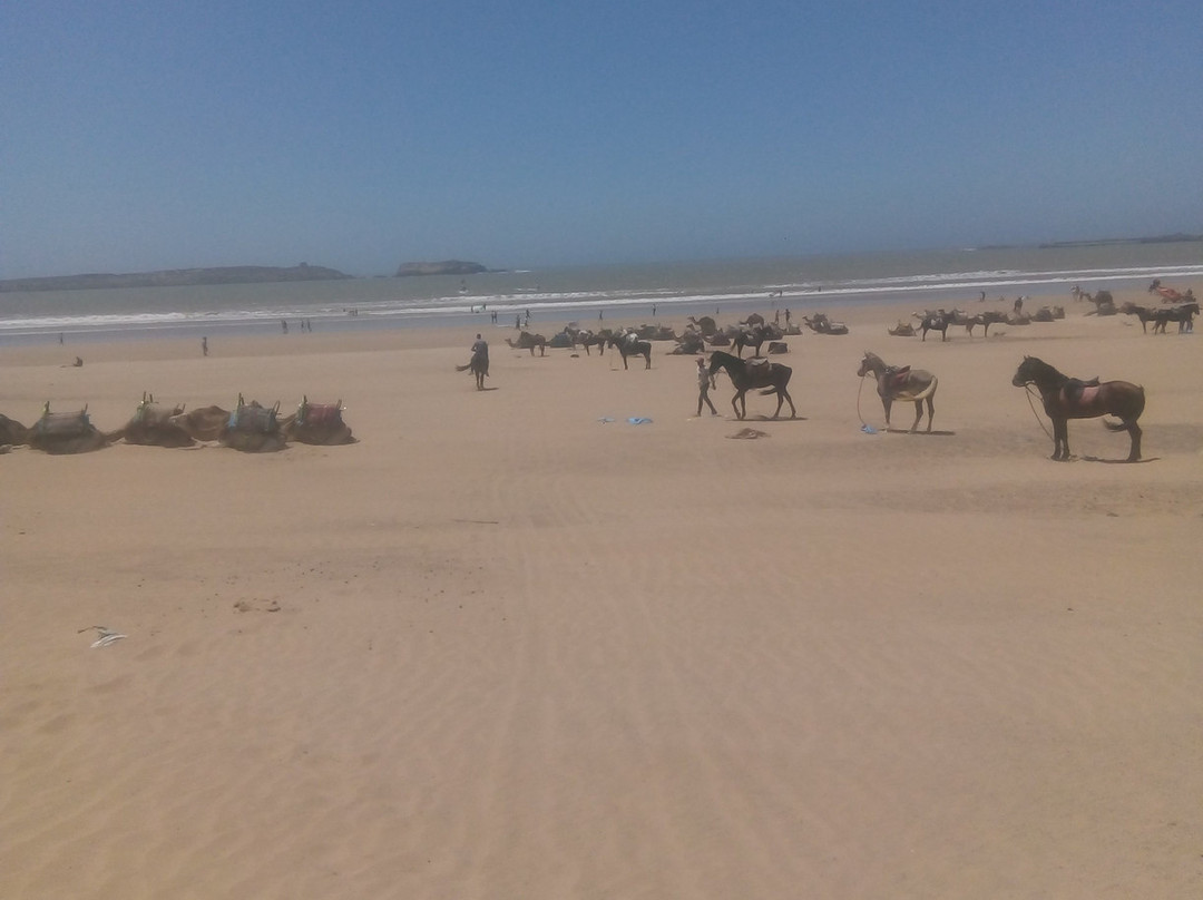 Essaouira Trip-索维拉必去景点