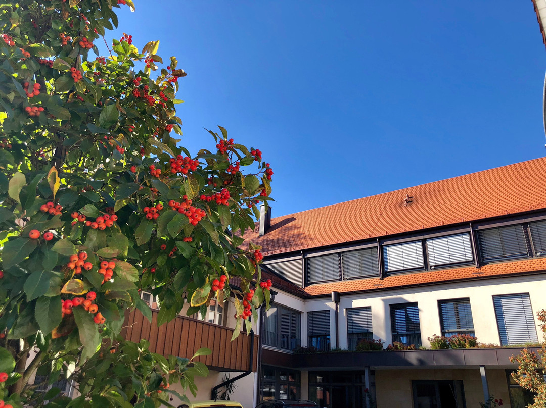 Wernsdorf旅游攻略图片