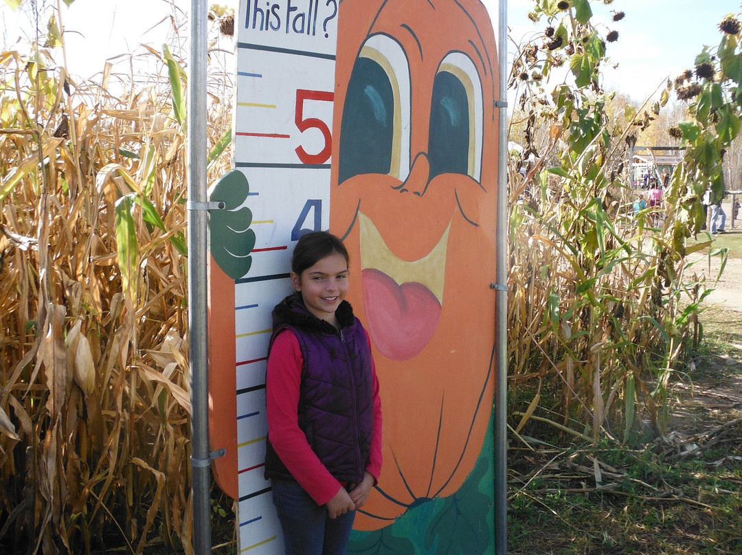 Hugli's Blueberry Ranch & Country Gift Store-Pembroke必去景点