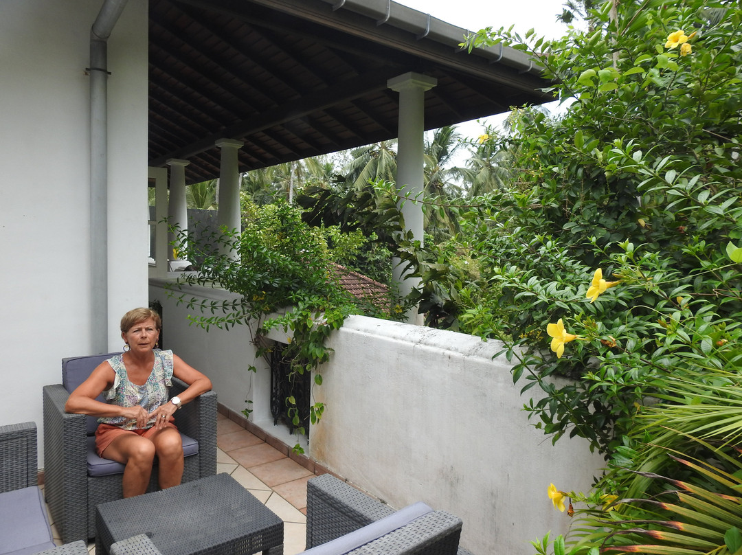 The Villa Green Inn主图