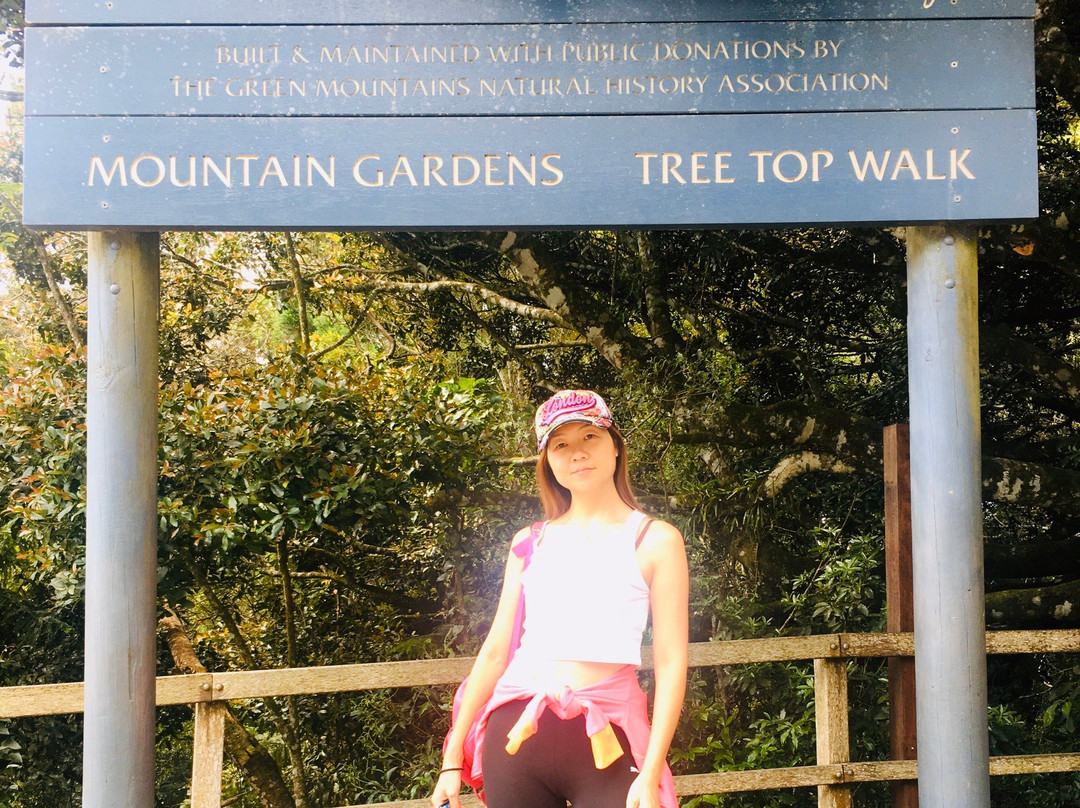 Lamington National Park景点图片
