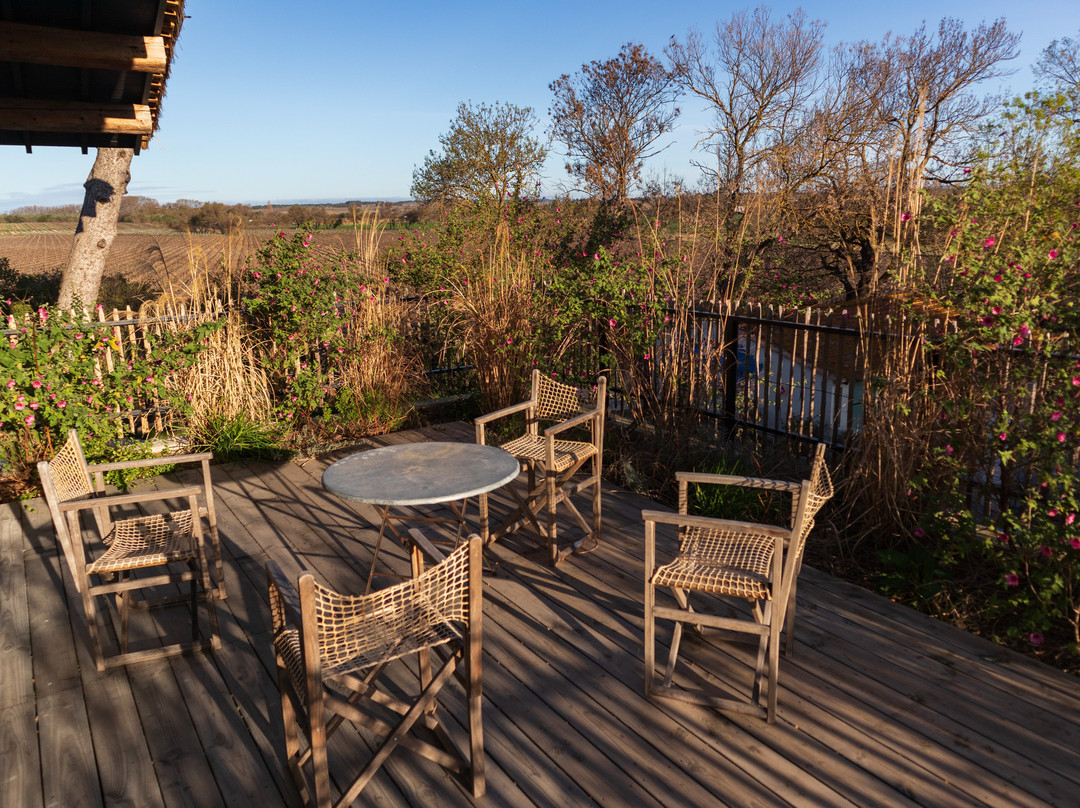 Domaine Tarbouriech主图