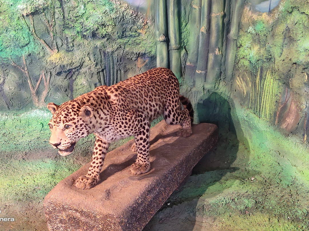 Muthanga Wildlife Sanctuary-Muthanga必去景点