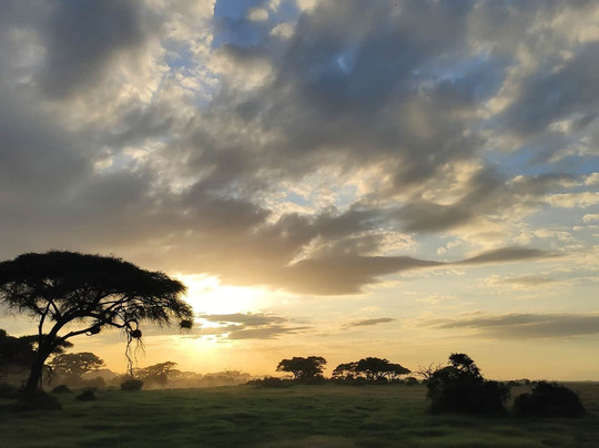 Bush Company-马林地必去景点