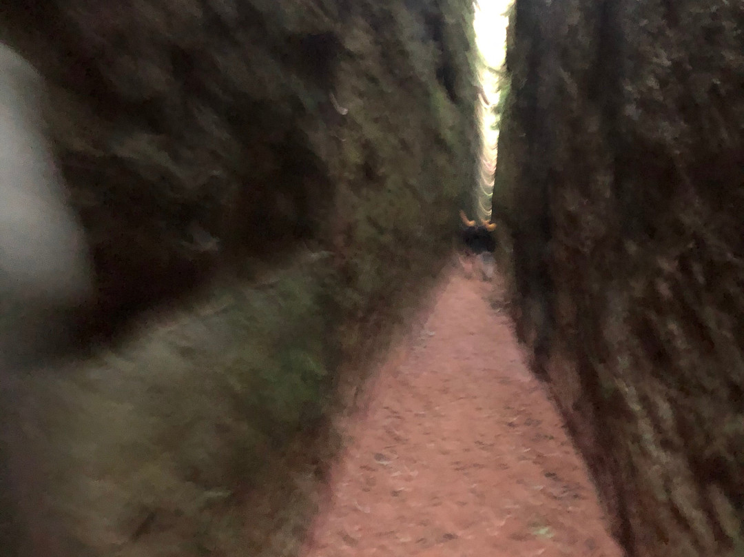 Fenda do Nick-Tibagi必去景点