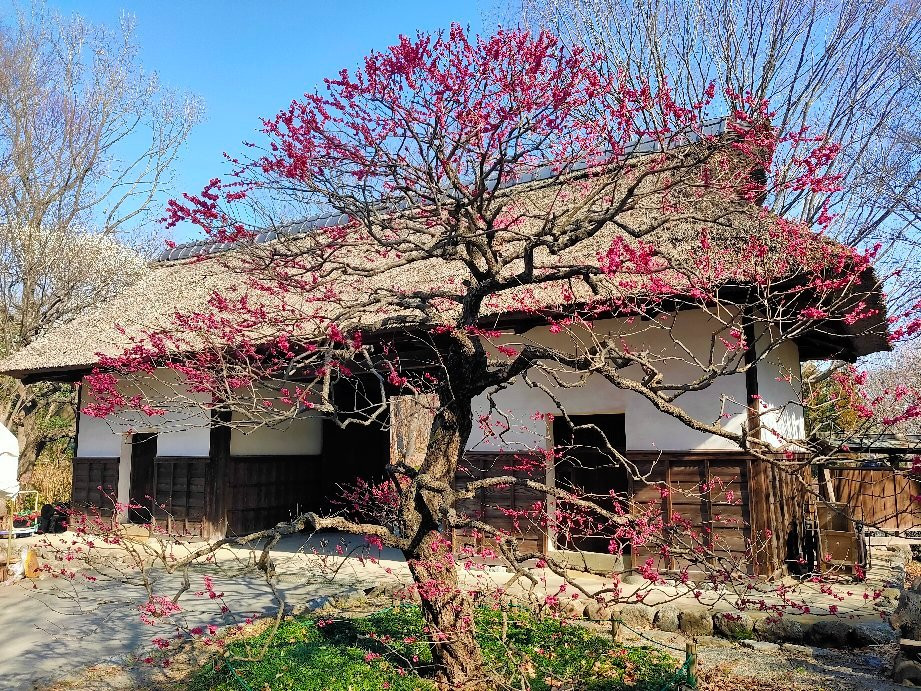 Old Mitsuoka Family Nagayamon-府中市必去景点