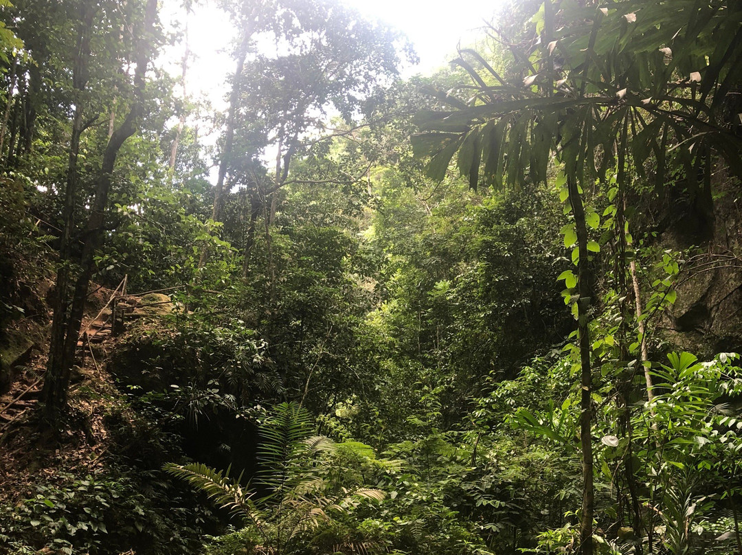 Catarata Pucayaquillo-Tarapoto必去景点
