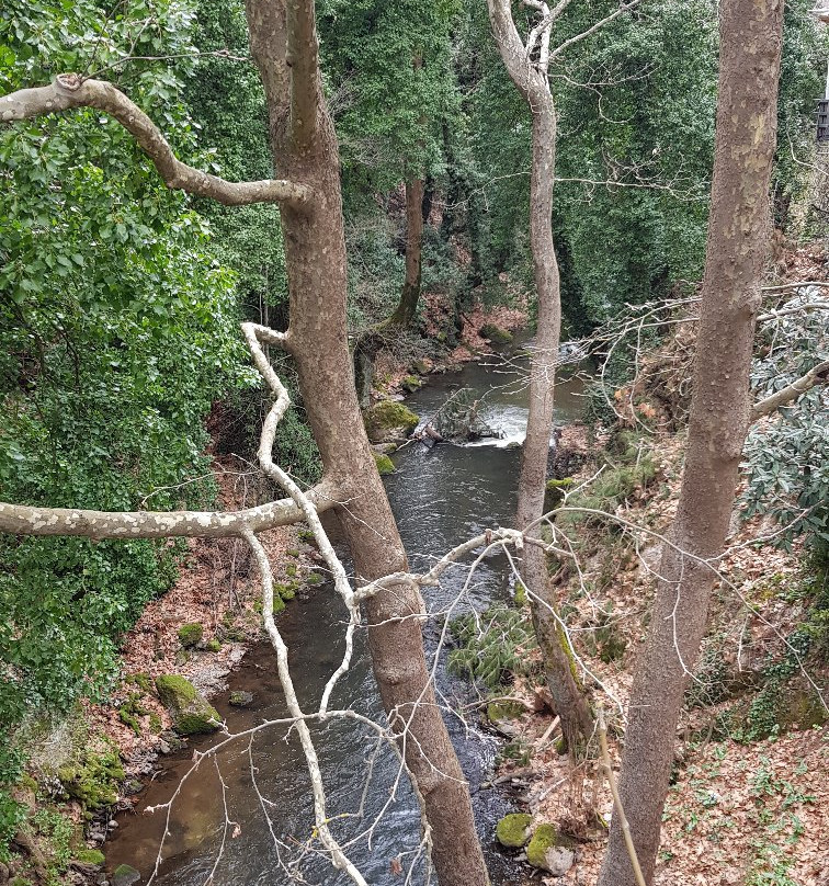 Gorge of Vouraikos-卡拉夫里塔必去景点